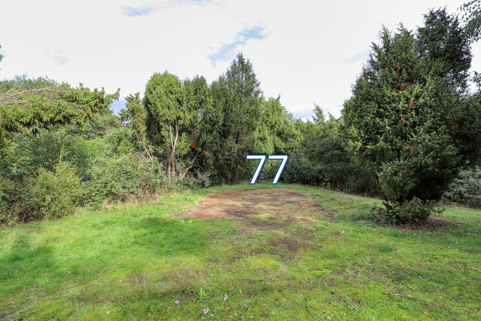 bessenhoek 77