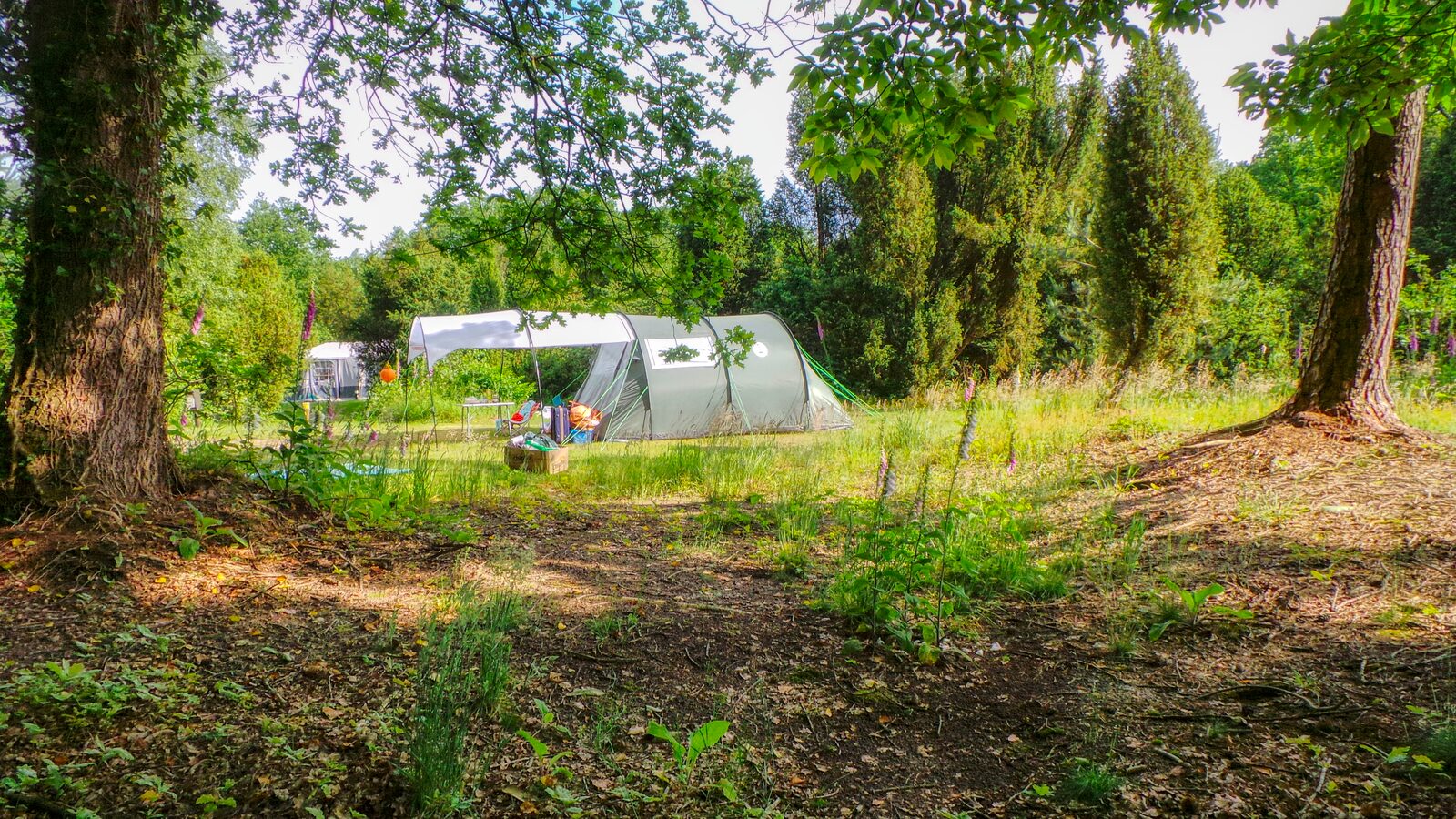 bessenhoek 75 tent
