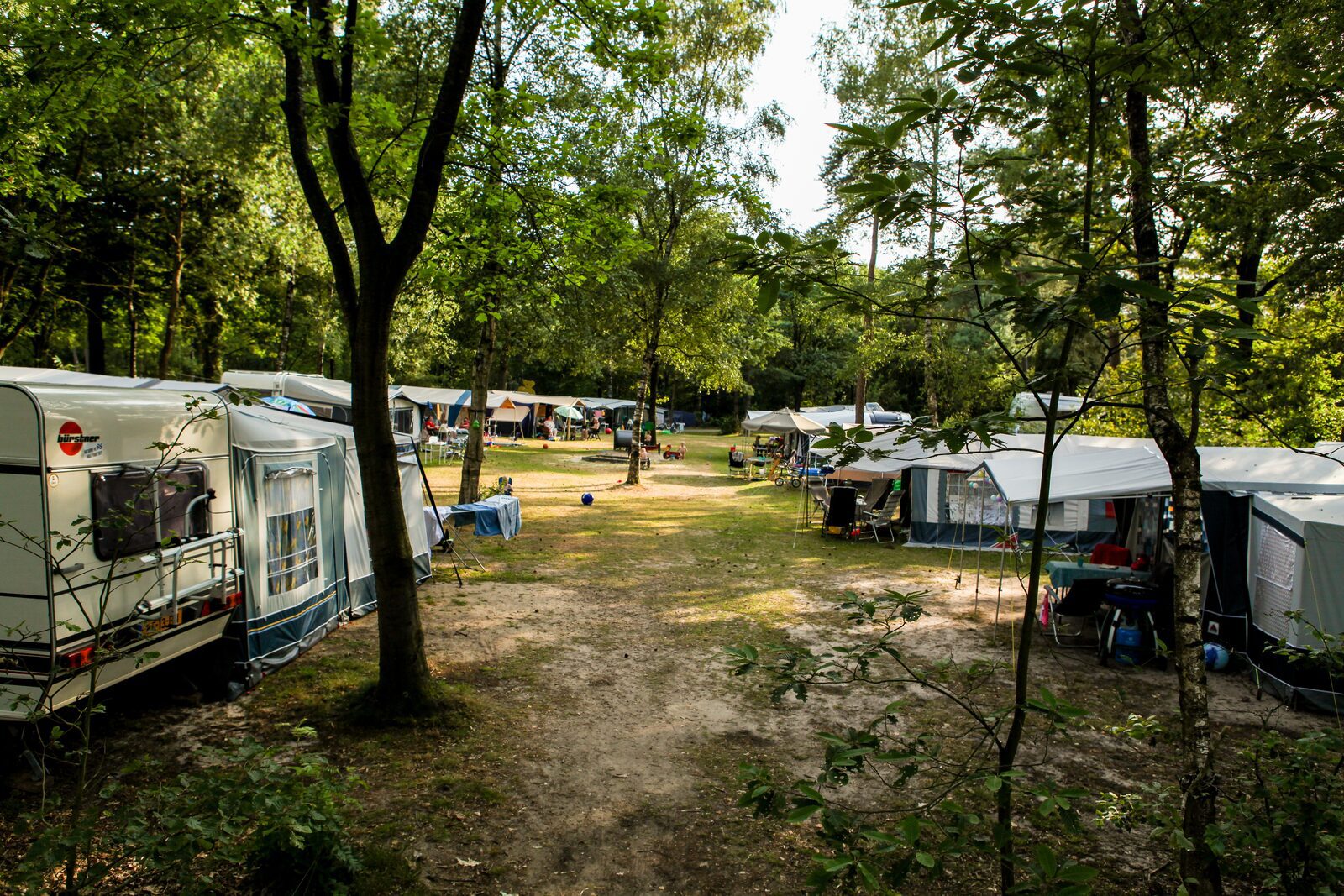 veld bosrand vanaf toiletgebouw
