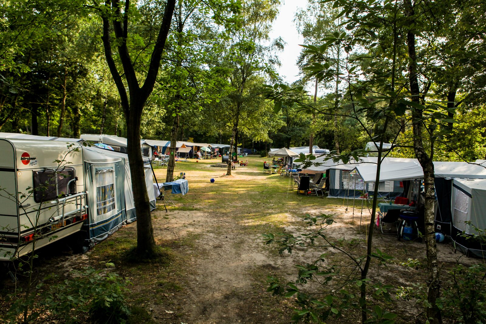 veld bosrand vanaf toiletgebouw