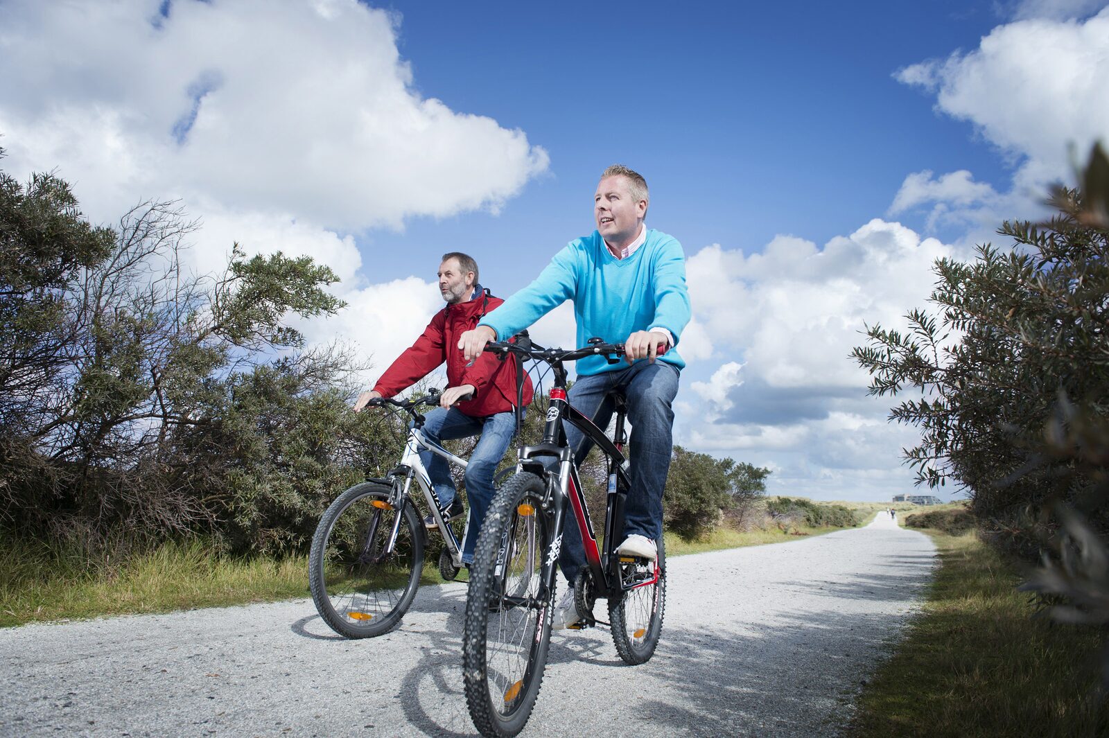 Bike rental - OptimizeD