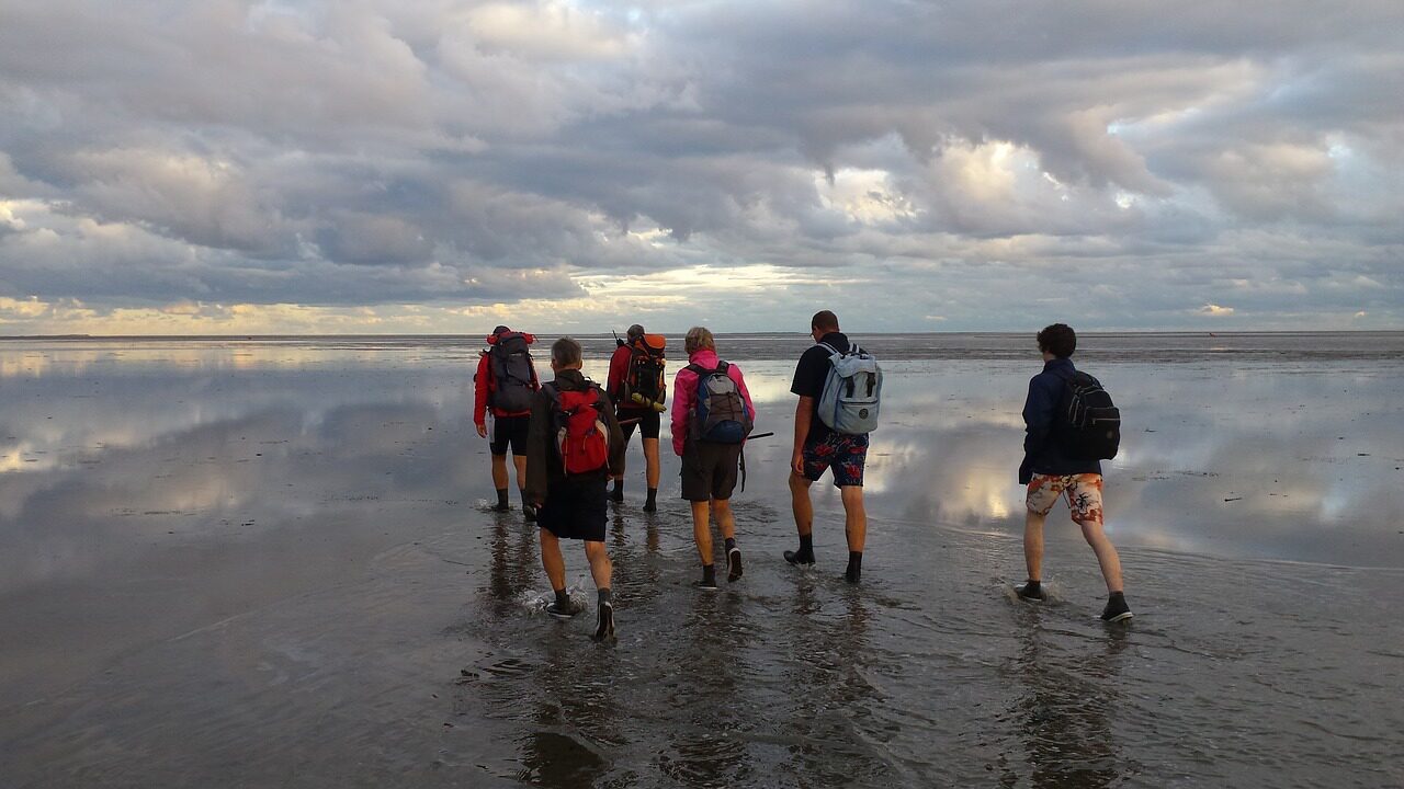 Wadlopen over het prachtige Terschelling