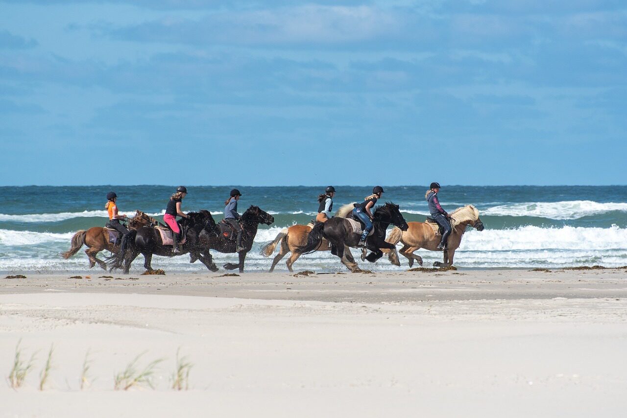 Huifkartocht over prachtige terschelling