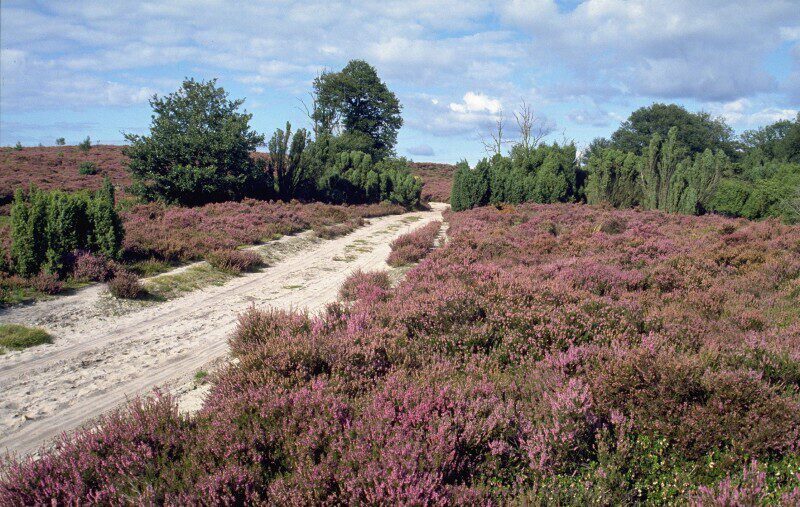 Nationaal Park de Sallandse Heuvelrug