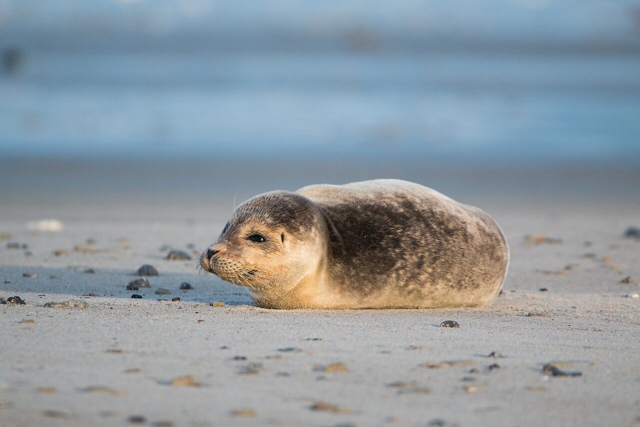 Vakantie Terschelling in het voorjaar