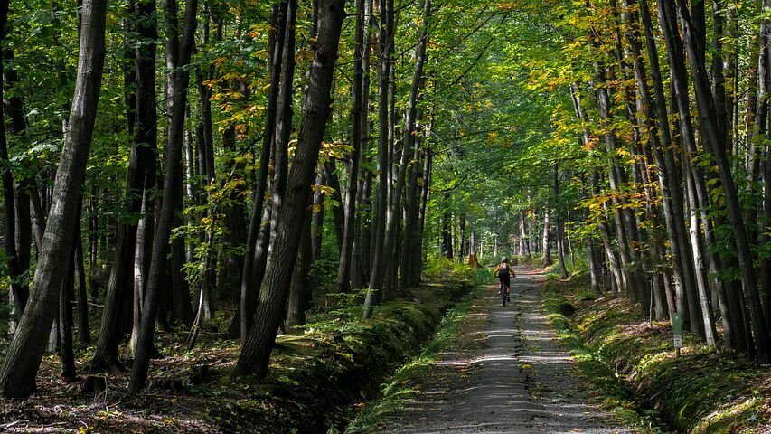 Blauwe route Holten (25 km)