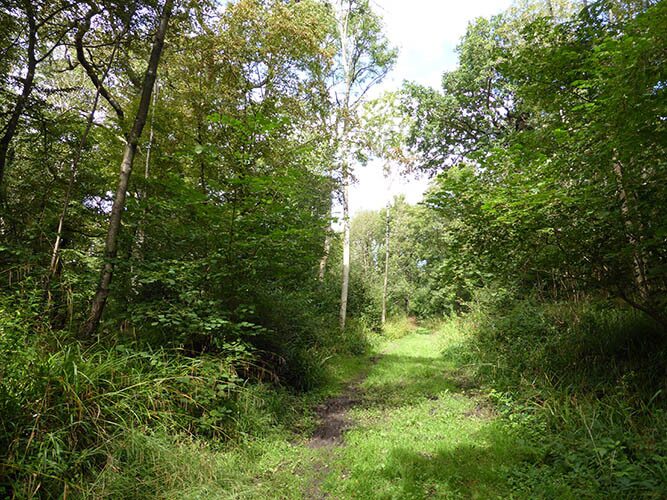 Sentier de la Fontaines aux Charmes
