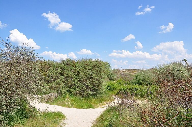 Circuit de la Dune Marchand