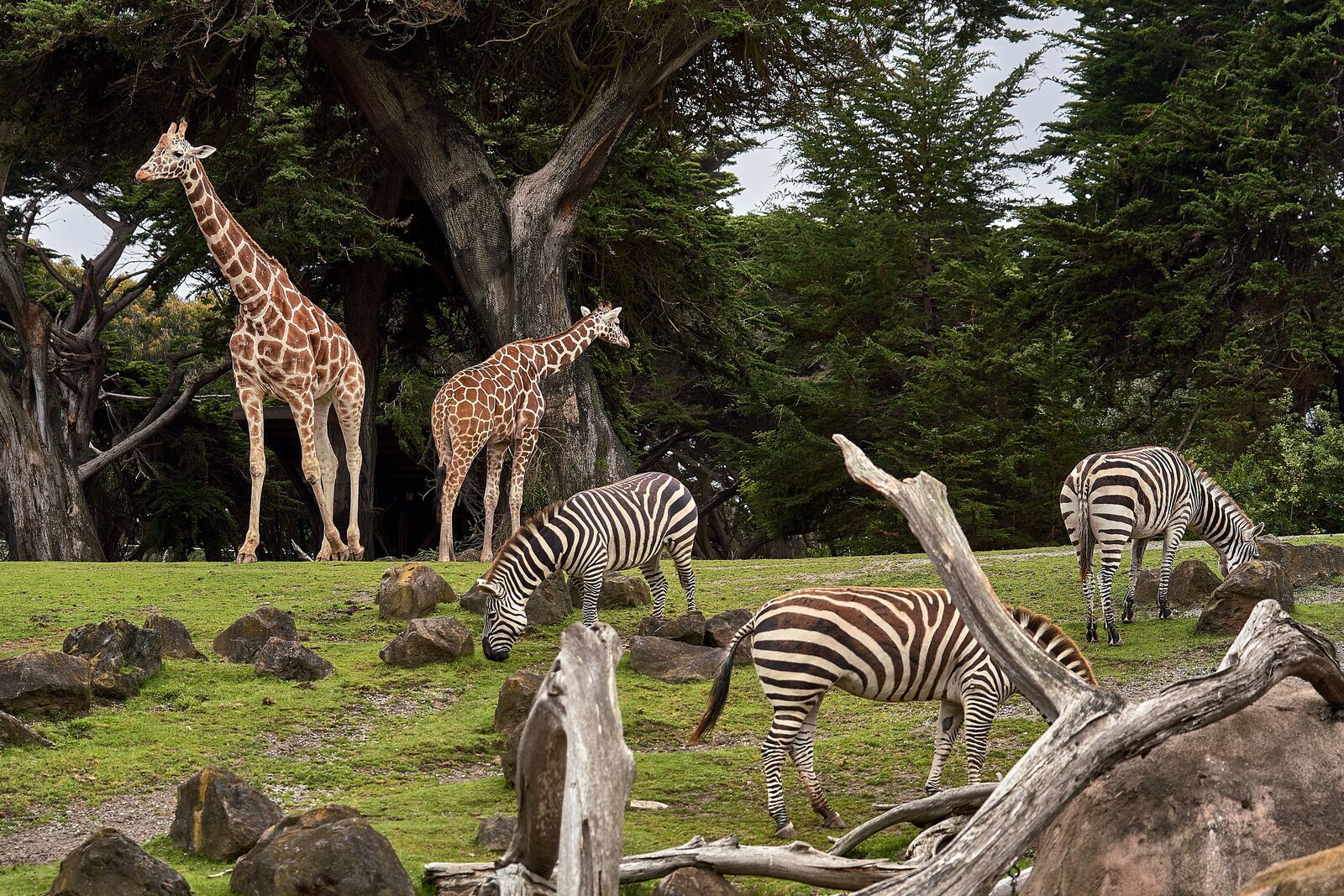 Tierpark Nordhorn