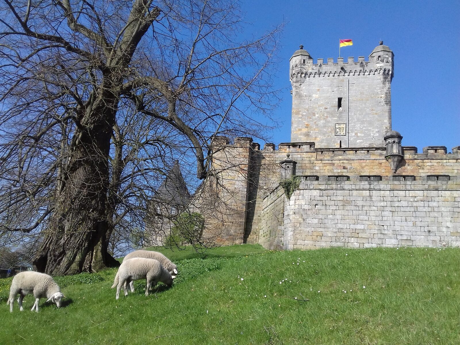 Bad Bentheim