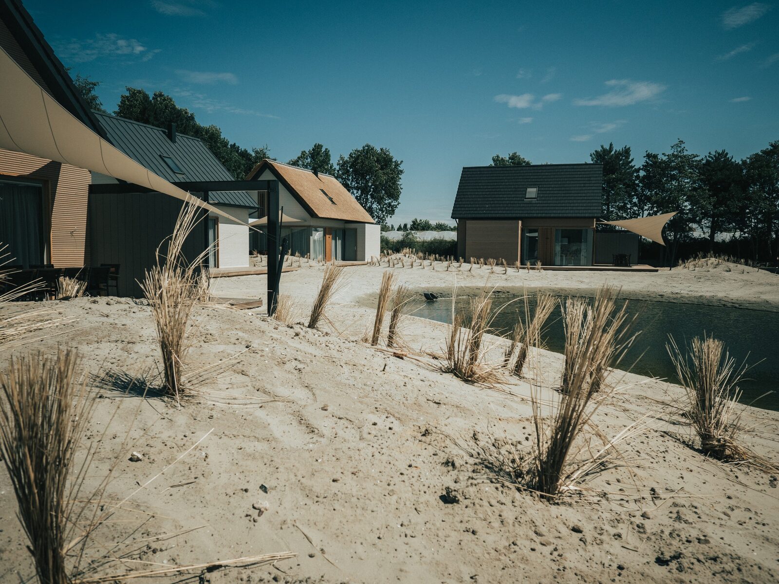 Ridderstee
