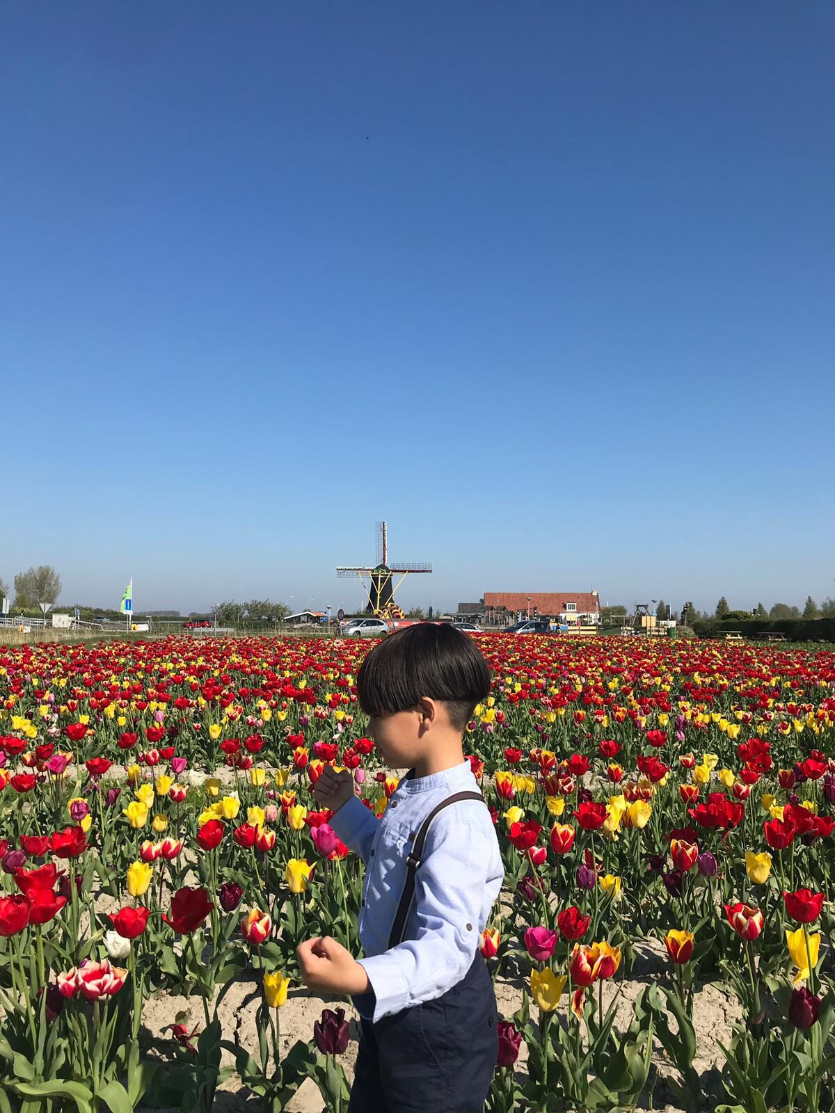 Frühlingsferien Zeeland