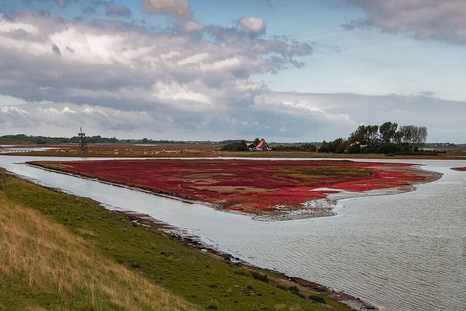 Nationaal Park Oosterschelde