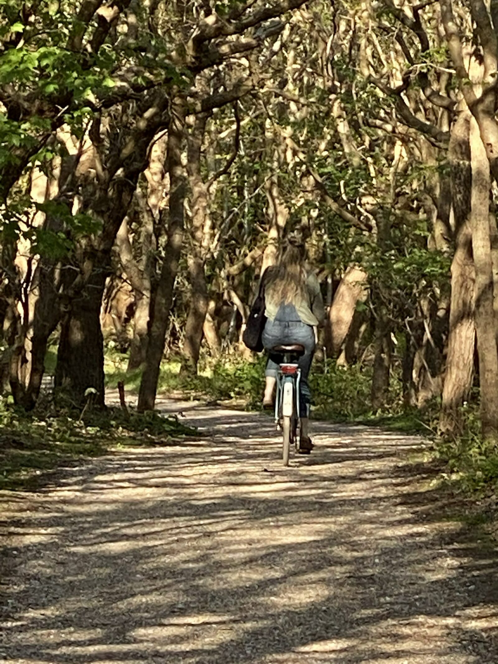natuur