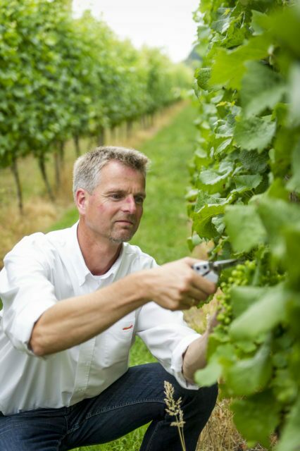 ๐ท Wijngaard Telgt