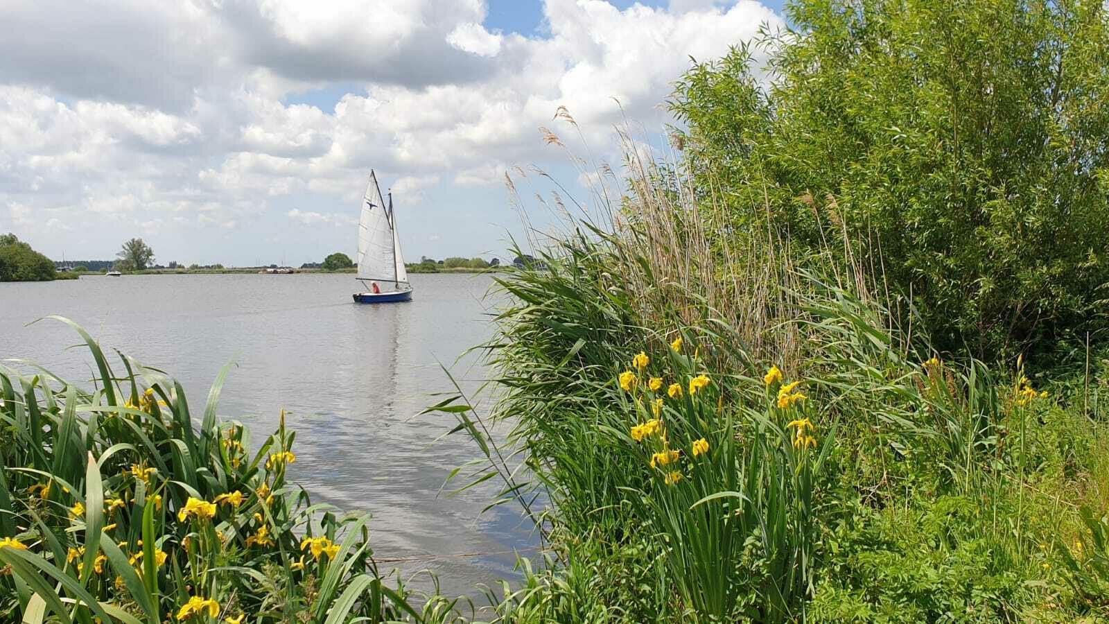 Hollandse Plassen