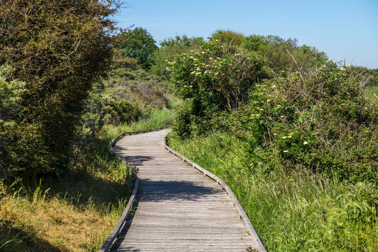 Activités à OyePlage Evancy