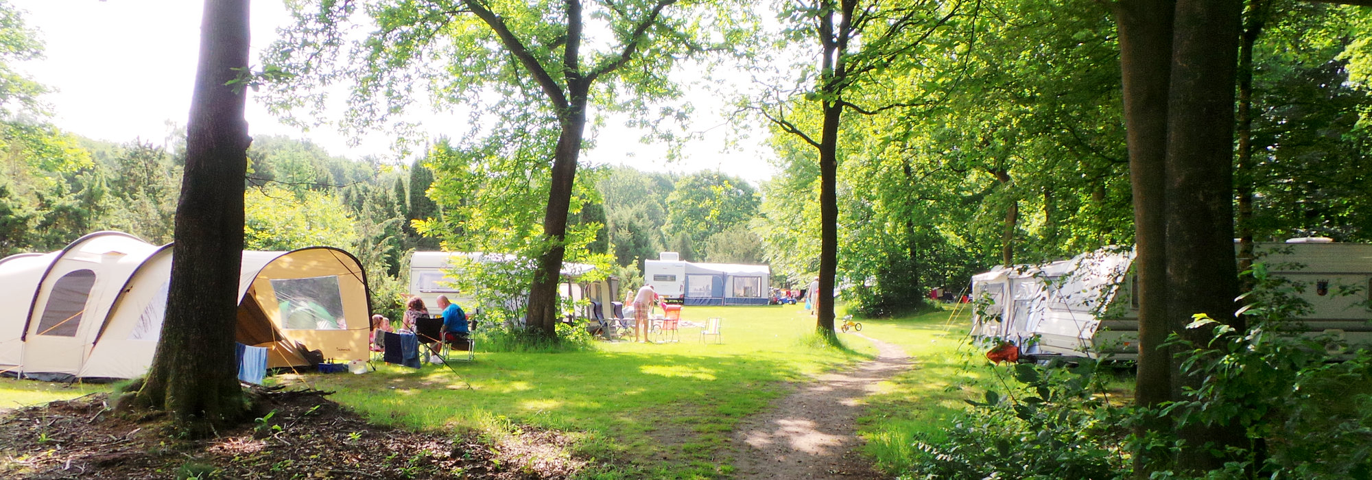 Camping with Dogs in Drenthe | De BerenKuil Sport en vakantie Kamperen, wandelen Kamperen, wandelen